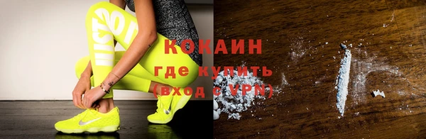 прущие грибы Заволжье
