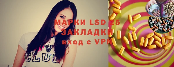 шишки Елизово