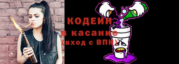 прущие грибы Заволжье