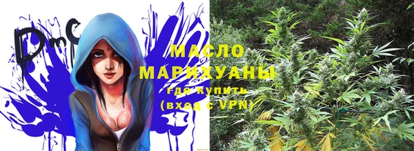 шишки Елизово