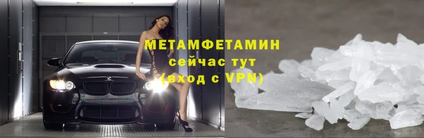 прущие грибы Заволжье