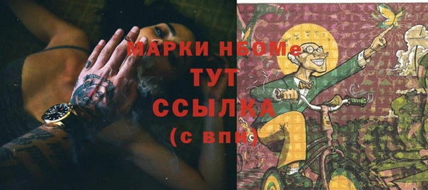 шишки Елизово