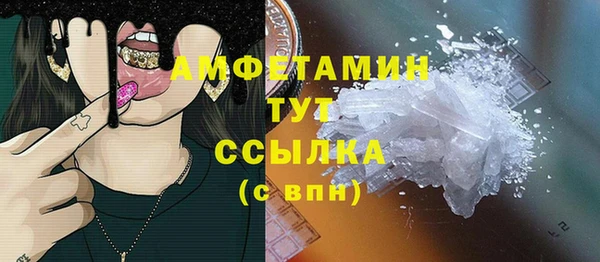 шишки Елизово