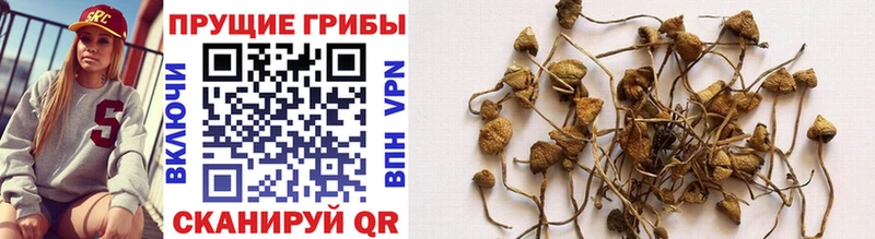 Галлюциногенные грибы GOLDEN TEACHER Новочеркасск