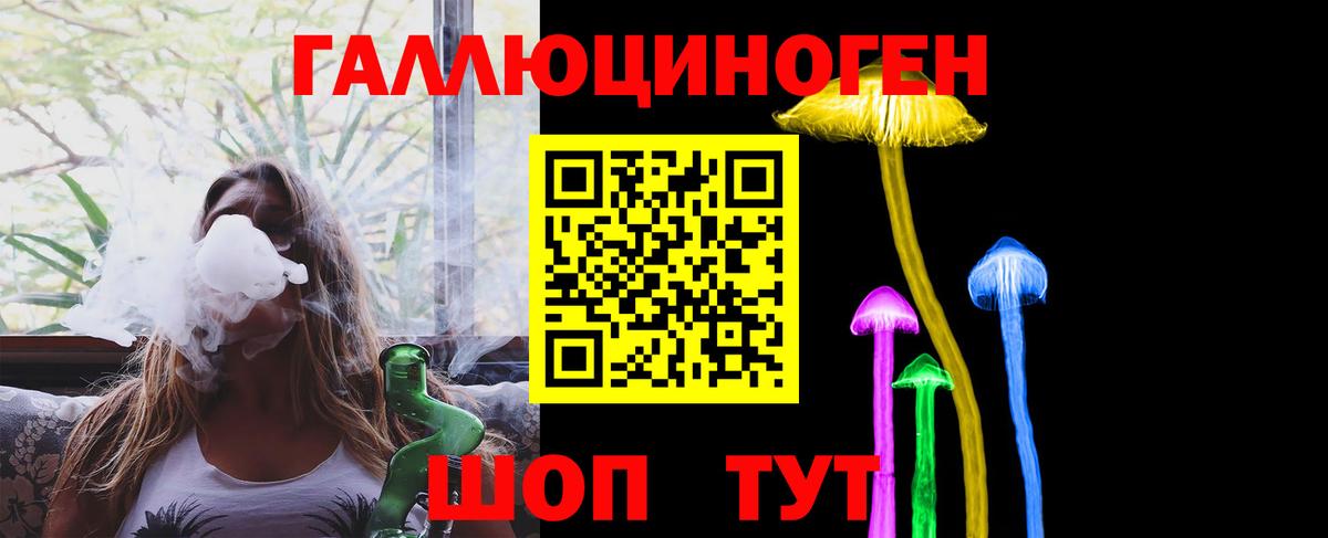 Псилоцибиновые грибы Psilocybe Новочеркасск